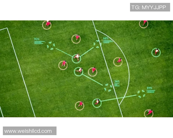 武汉飞盘队的控制打法深度分析与战术解析